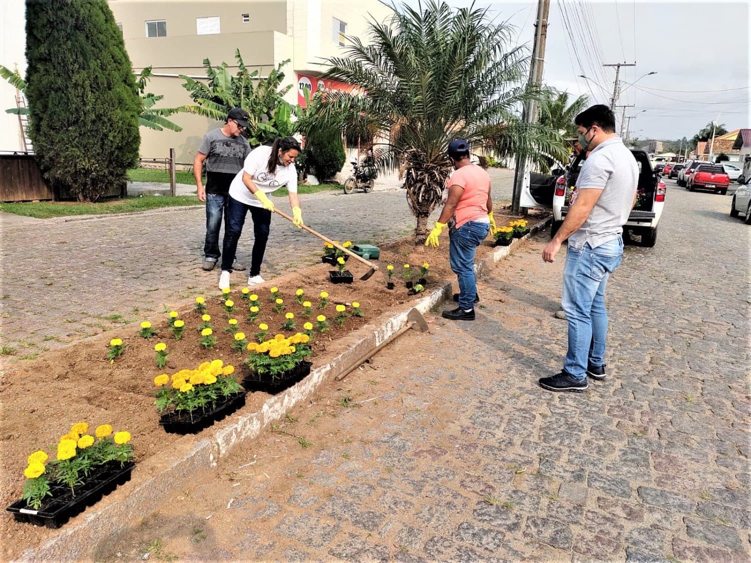 Canteiros de avenidas são revitalizados em Capivari de Baixo