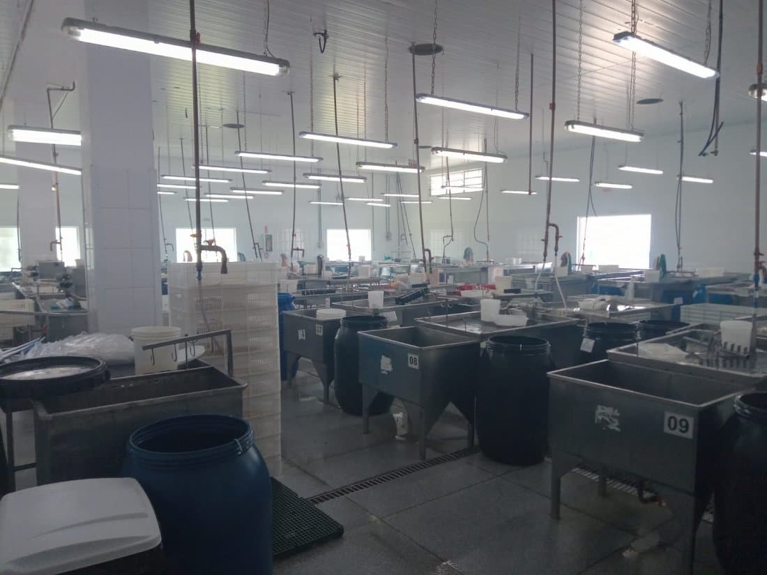 Empresa diz que erro em mistura de reagentes causou intoxicação de funcionários em Braço do Norte