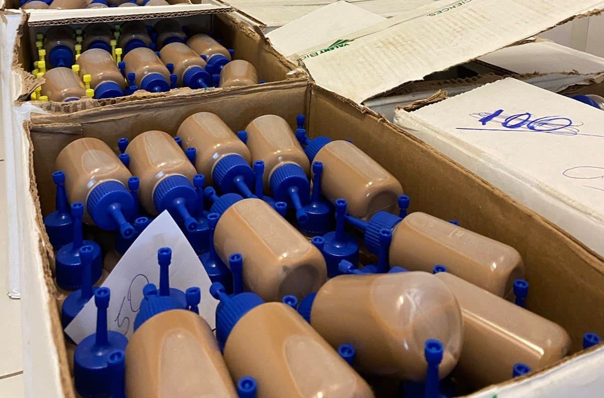 Dia D contra o Borrachudo ocorre nesta sexta (21) em Braço do Norte