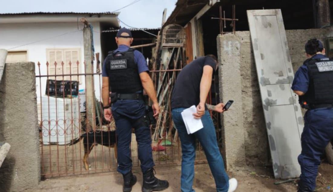 12 cachorros são encontrados em situação de maus-tratos