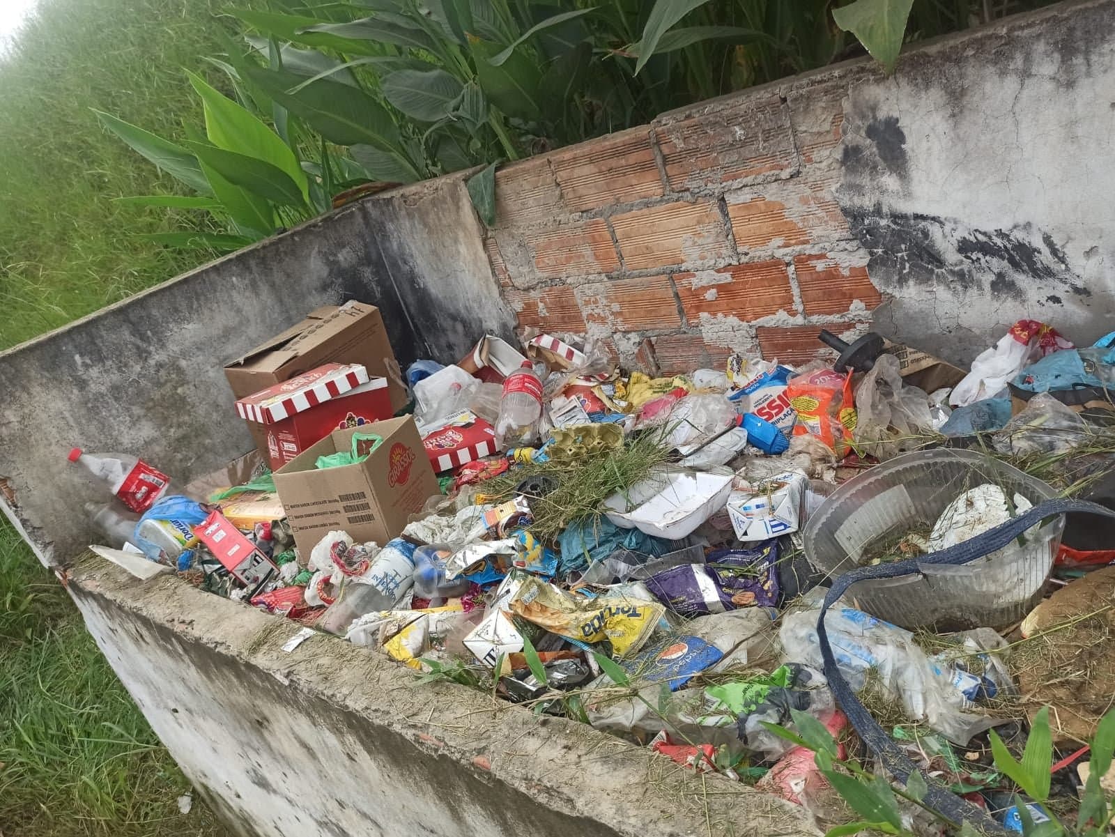 Força-tarefa de combate ao Aedes aegypti é realizada em Braço do Norte