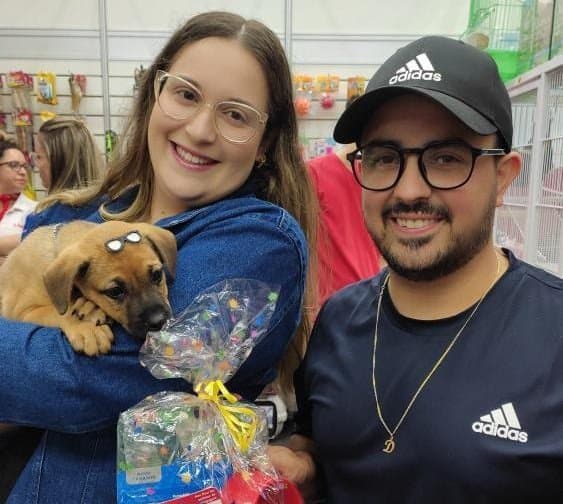 Mais de 35 animais foram adotados no Outlet Beer Festival