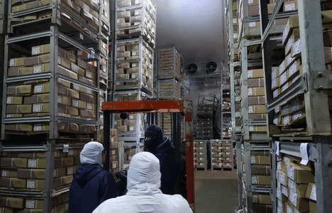 Laguna é alvo de operação que gerou mais de R$ 5 milhões em multas