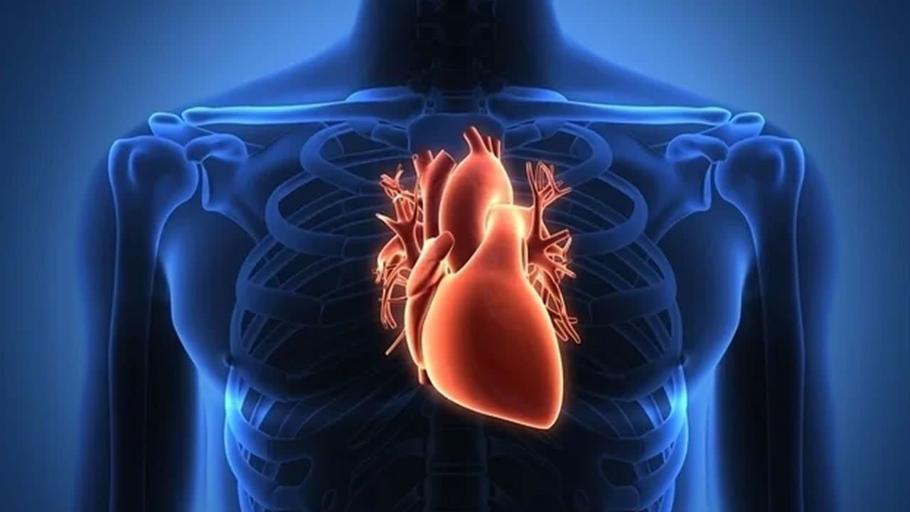 Prevenção é arma contra insuficiência cardíaca, diz pesquisador