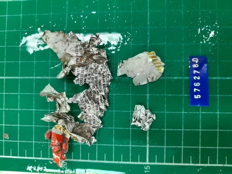 Pesquisadores acham lata de cerveja dentro de tartaruga encontrada morta em Imbituba