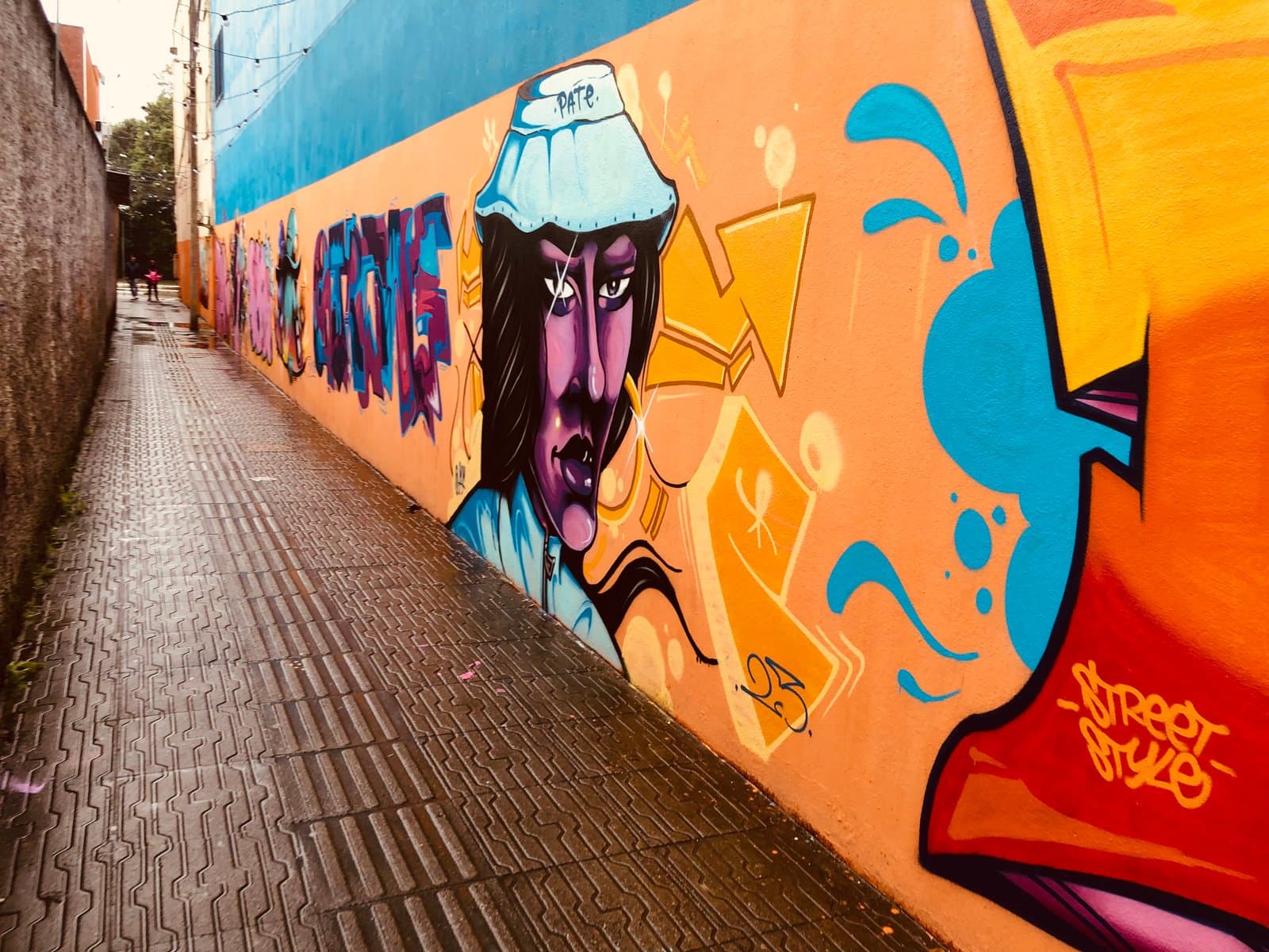 Beco no Centro de Tubarão é revitalizado com grafites