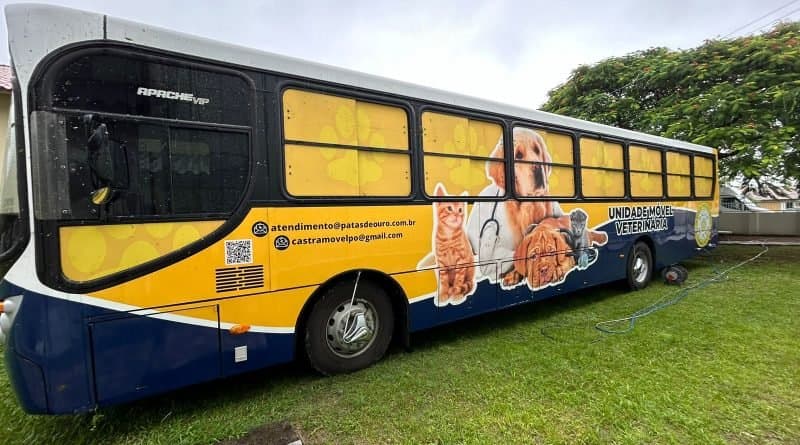 Mais de 200 animais já foram castrados em mutirão de Laguna