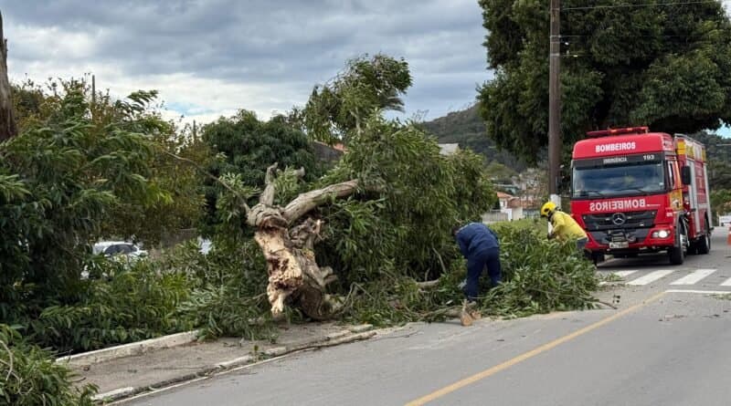 Ventos causam destelhamentos, falta de energia e queda de árvores em Capivari