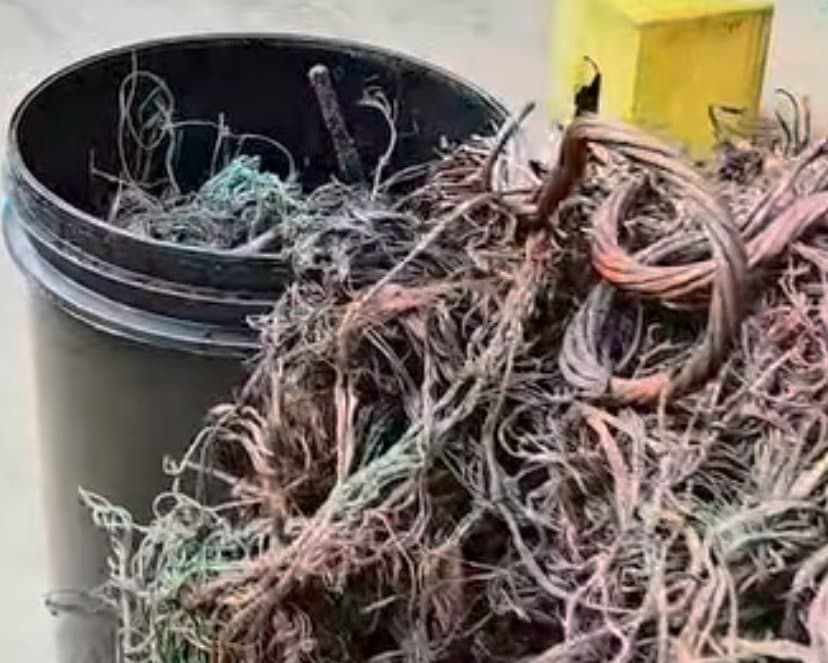 Braço do Norte está há mais de 100 dias sem registros de furtos de fiação elétrica